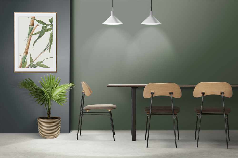 Kayın Ağacı Mobilya